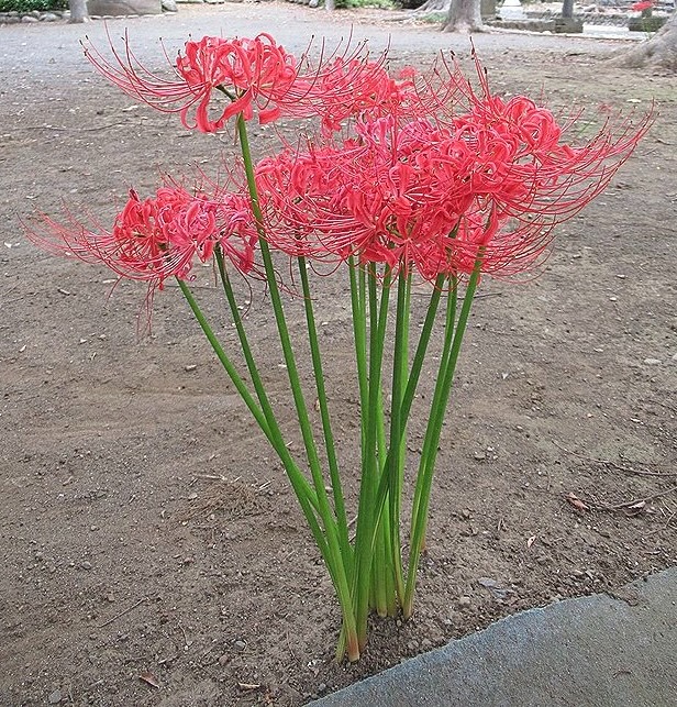 寺己紹介⑩