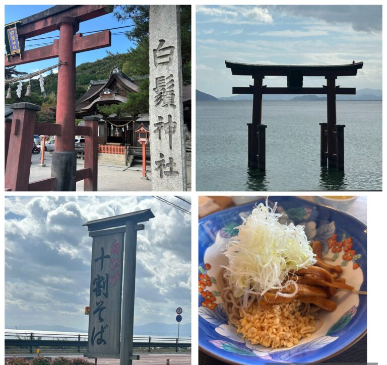 アラ還　墓嬢　休日の1日blog🐻