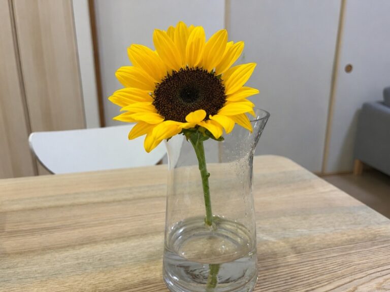父の日のひまわり